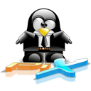 Penguin pingouin pinguino 144